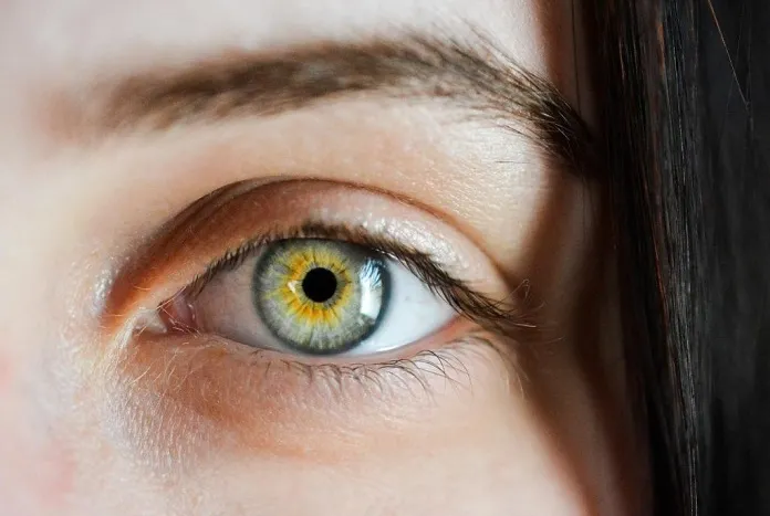 Oculosin